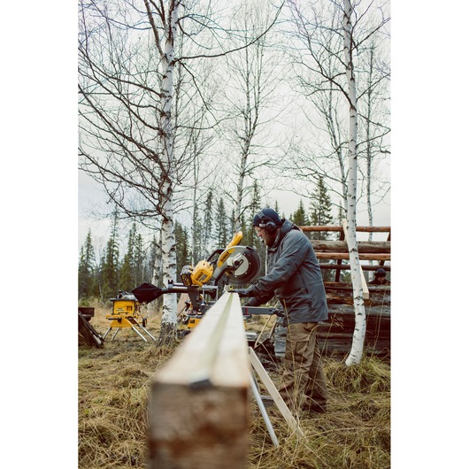 A person is using a DEWALT miter saw outdoors to cut a long wooden beam, surrounded by leafless birch trees and grassy